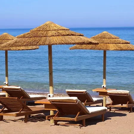 Messina 4*