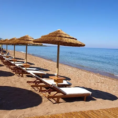 Ξενοδοχείο με διαμερίσματα Messina 4*